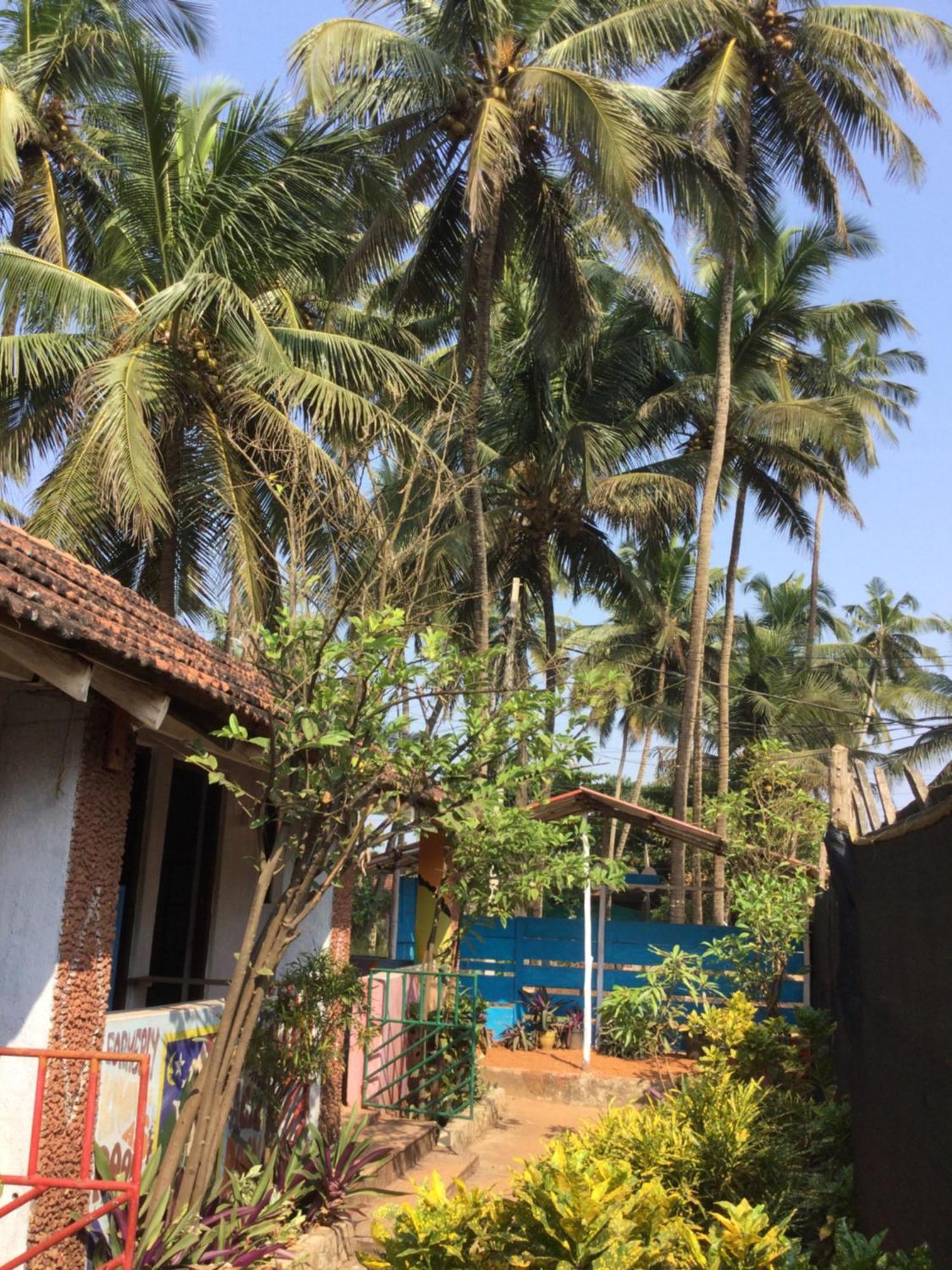 Hippie Hostel Or Goamazing Hostel Anjuna Esterno foto